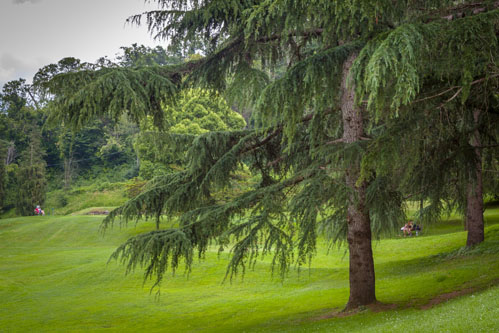 Circolo Golf e Tennis Rapallo - Buca 7, le fotografie